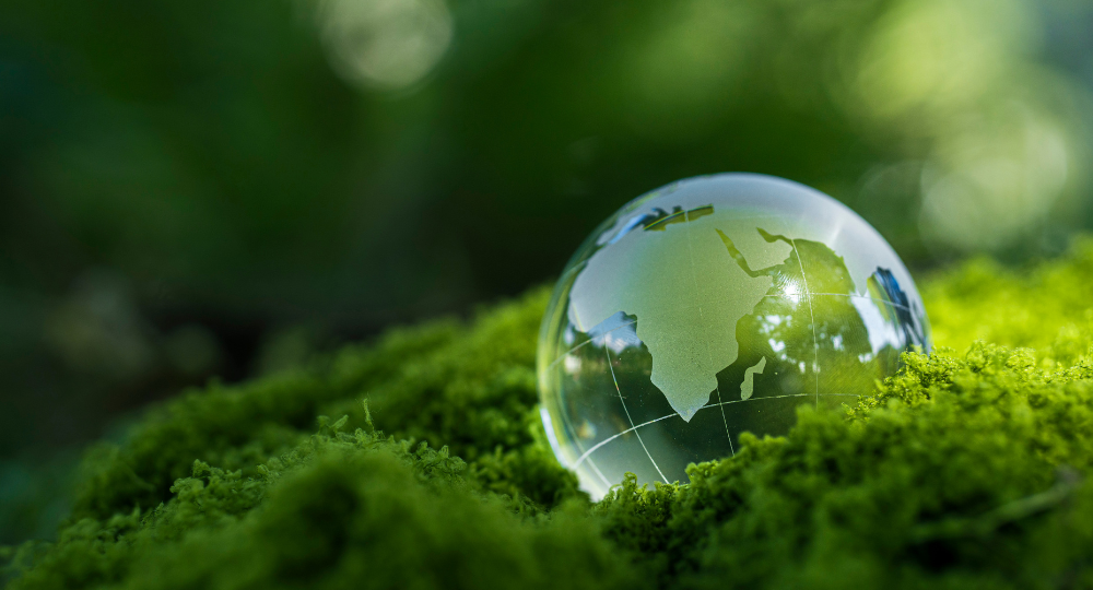 Quelles obligations RSE pour les entreprises en 2026 ?